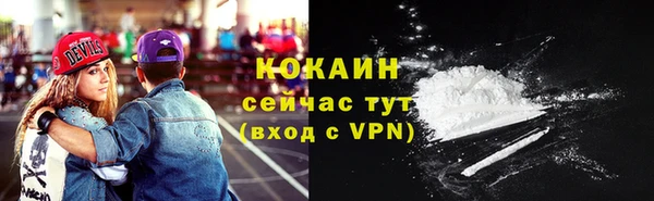 индика Арсеньев