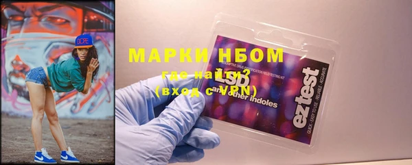 индика Арсеньев