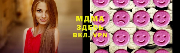индика Арсеньев