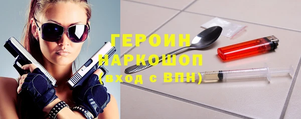 индика Арсеньев