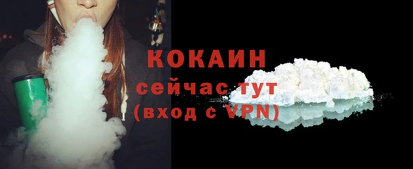 индика Арсеньев
