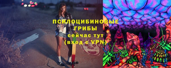 индика Арсеньев