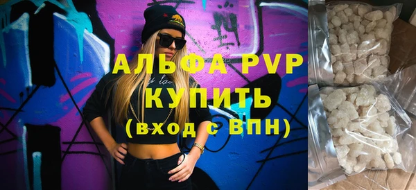 индика Арсеньев