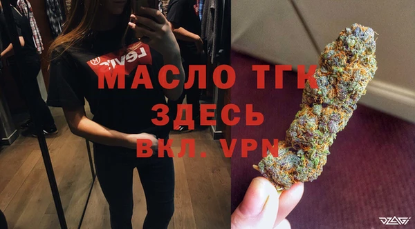 индика Арсеньев