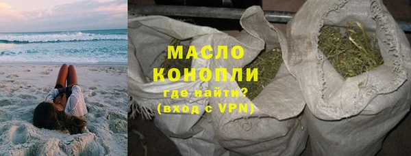 индика Арсеньев