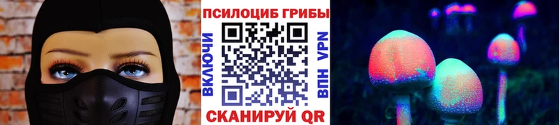 blacksprut ссылки Сасово Галлюциногенные грибы Cubensis